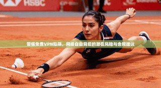 警惕免费VPN陷阱，网络自由背后的潜在风险与合规建议