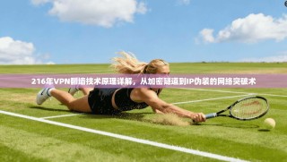 216年VPN翻墙技术原理详解，从加密隧道到IP伪装的网络突破术