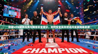 欧朋VPN使用指南与网络安全建议，如何安全高效地访问全球网络资源