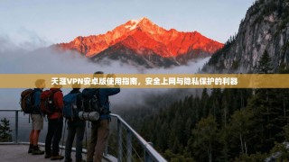 天涯VPN安卓版使用指南，安全上网与隐私保护的利器