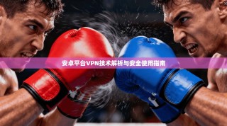 安卓平台VPN技术解析与安全使用指南