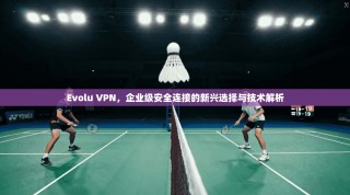 Evolu VPN，企业级安全连接的新兴选择与技术解析