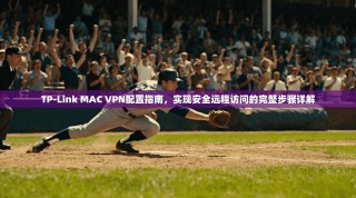 TP-Link MAC VPN配置指南，实现安全远程访问的完整步骤详解
