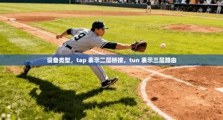 设备类型，tap 表示二层桥接，tun 表示三层路由
