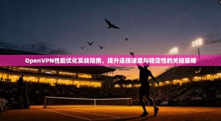 OpenVPN性能优化实战指南，提升连接速度与稳定性的关键策略