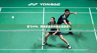 猎飞VPN，网络自由的利器还是隐患？