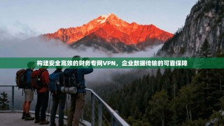 构建安全高效的财务专网VPN，企业数据传输的可靠保障