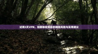 试用3天VPN，短期体验背后的网络风险与实用建议