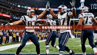 MHFG VPN，安全与隐私的网络新选择？