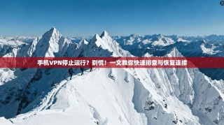 手机VPN停止运行？别慌！一文教你快速排查与恢复连接