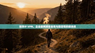 独享IP VPN，企业级网络安全性与稳定性的新选择