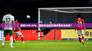 蓝莓VPN APK，网络自由的利器还是安全隐患？
