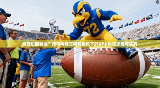 青蛙也能翻墙？浅析网络工程师视角下的VPN设置原理与实践