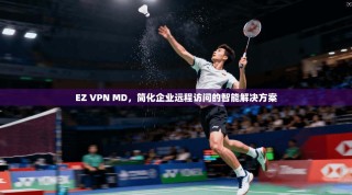 EZ VPN MD，简化企业远程访问的智能解决方案