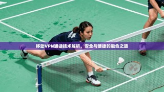 移动VPN通话技术解析，安全与便捷的融合之道