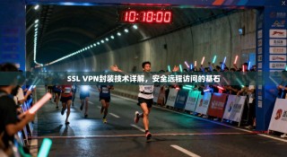 SSL VPN封装技术详解，安全远程访问的基石