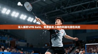 深入解析VPN Gate，免费匿名上网的利器与潜在风险
