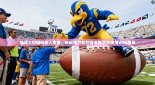 华师大校园网接入指南，Mac用户如何安全配置并使用VPN服务
