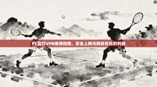 PC蓝灯VPN使用指南，安全上网与网络优化的利器