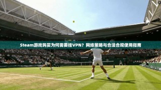 Steam游戏购买为何需要挂VPN？网络策略与合法合规使用指南