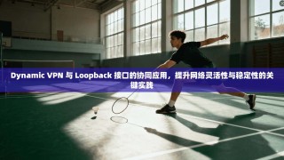 Dynamic VPN 与 Loopback 接口的协同应用，提升网络灵活性与稳定性的关键实践