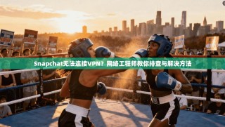 Snapchat无法连接VPN？网络工程师教你排查与解决方法