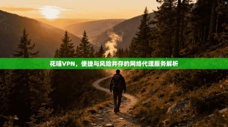 花喵VPN，便捷与风险并存的网络代理服务解析