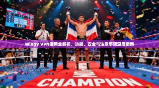 Wingy VPN使用全解析，功能、安全与注意事项深度指南