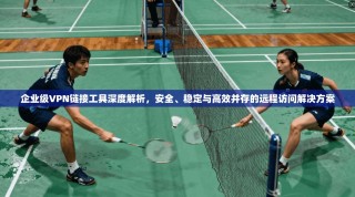企业级VPN链接工具深度解析，安全、稳定与高效并存的远程访问解决方案