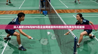 深入解析VPN与NPS在企业网络架构中的协同作用与优化策略