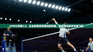 VPN公布器2.0，企业级网络部署的新利器，安全与效率的双重飞跃