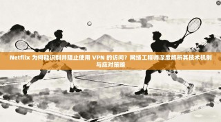 Netflix 为何能识别并阻止使用 VPN 的访问？网络工程师深度解析其技术机制与应对策略