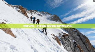 领袖VPN，企业级网络安全部署的智慧之选