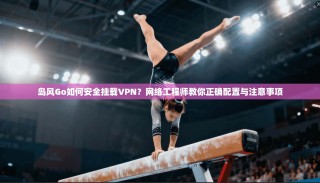 岛风Go如何安全挂载VPN？网络工程师教你正确配置与注意事项