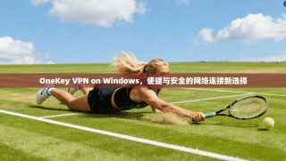 OneKey VPN on Windows，便捷与安全的网络连接新选择