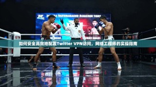 如何安全高效地配置Twitter VPN访问，网络工程师的实操指南