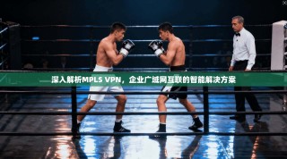 深入解析MPLS VPN，企业广域网互联的智能解决方案