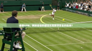 金粉VPN，网络自由的捷径还是数字安全的陷阱？