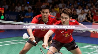 动态IP环境下使用VPN的优化策略与安全考量