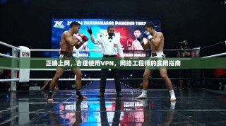 正确上网，合理使用VPN，网络工程师的实用指南