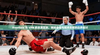 FreeGate 与 VPN 的本质区别，网络自由与技术合规的边界探讨