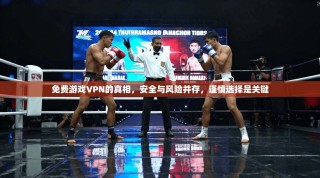 免费游戏VPN的真相，安全与风险并存，谨慎选择是关键