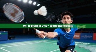 Wii U 如何使用 VPN？完整指南与注意事项
