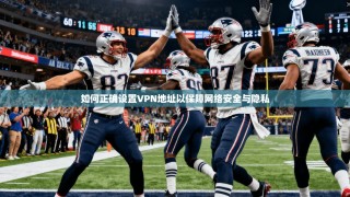 如何正确设置VPN地址以保障网络安全与隐私