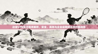 边缘VPN官方服务解析，安全、高效与企业级网络连接的新选择