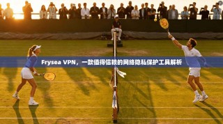 Frysea VPN，一款值得信赖的网络隐私保护工具解析