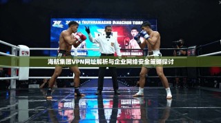 海航集团VPN网址解析与企业网络安全策略探讨