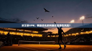 好又快VPN，网络优化的利器还是潜在风险？