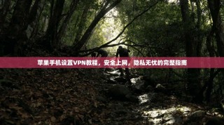 苹果手机设置VPN教程，安全上网，隐私无忧的完整指南