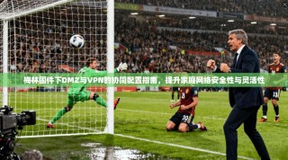 梅林固件下DMZ与VPN的协同配置指南，提升家庭网络安全性与灵活性
